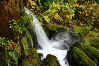 Ερωτήματα της Επιτροπής Αγώνα για τα νερά του Αγίου Βλασίου και των Άνω Λεχωνίων προς την Επιτροπή Περιβάλλοντος της Περιφέρειας Θεσσαλίας