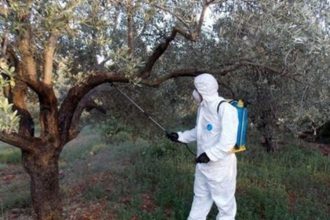 Ψεκασμοί δακοκτονίας σε περιοχές της Μαγνησίας