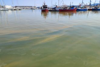 Απροσδιόριστης πηγής και σύνθεσης τα λύματα που προκαλούν περιστασιακές ρυπάνσεις στη λιμενική ζώνη Βόλου