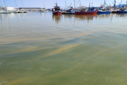 Απροσδιόριστης πηγής και σύνθεσης τα λύματα που προκαλούν περιστασιακές ρυπάνσεις στη λιμενική ζώνη Βόλου
