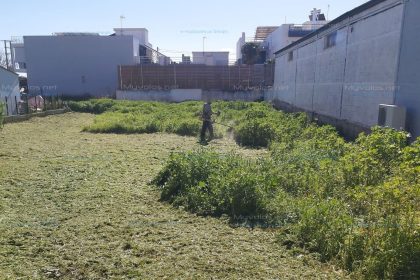 Περιφέρεια: Καθαρισμός οικοπέδων – κοπή βλάστησης με μηχανικά μέσα και όχι με χημικούς ψεκασμούς