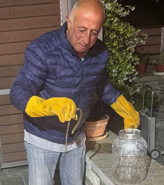 Φίδι από κατοικία μετέφερε στο φυσικό περιβάλλον του η Λέσχη Ειδικών Δυνάμεων (pics & vid)