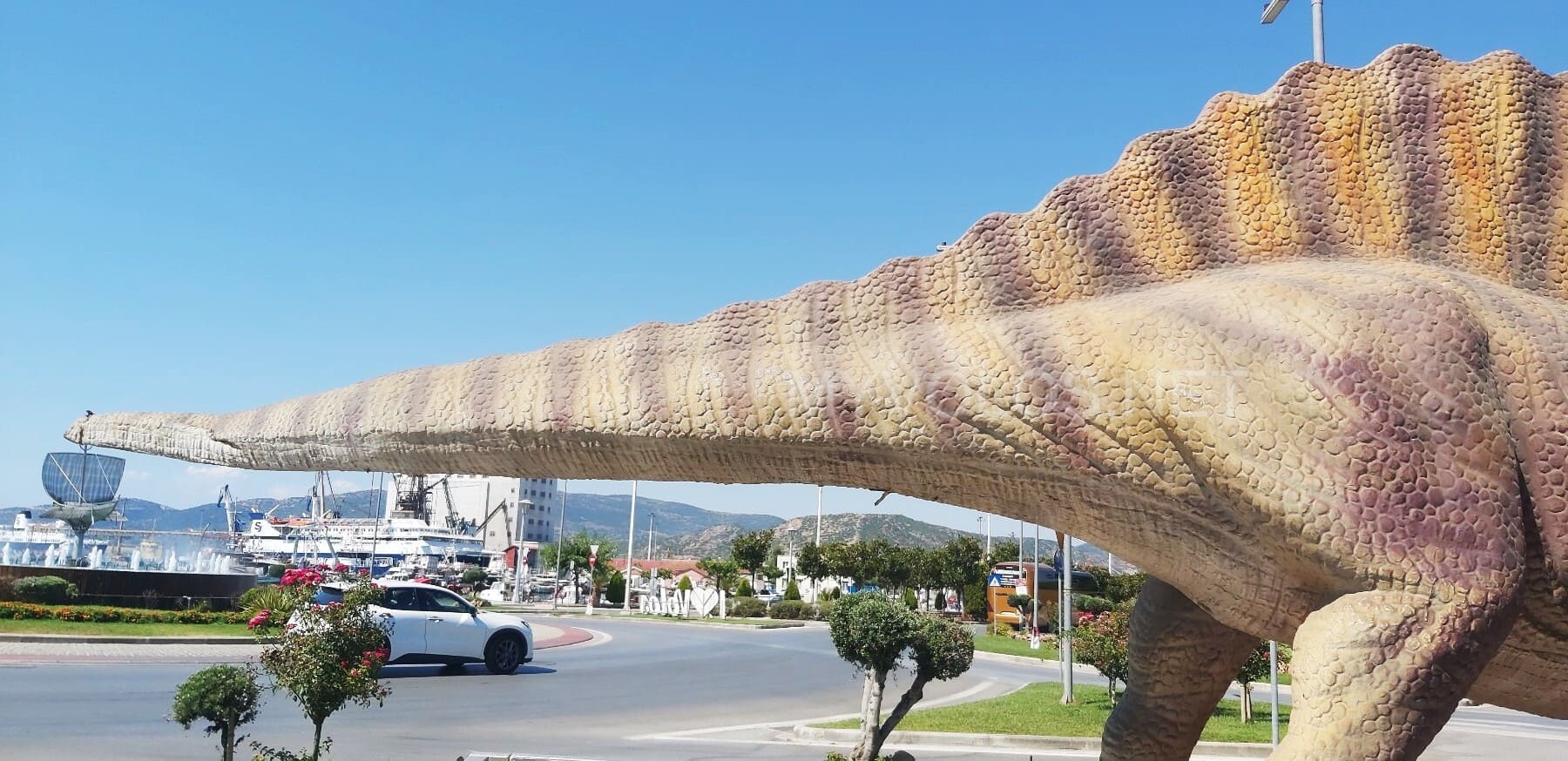 Στάση στον κόμβο Δημαρχείου Βόλου για τον …τυραννόσαυρο Ρεξ (εικόνες)
