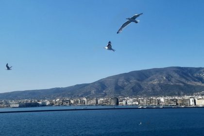 Την τρίτη μεγαλύτερη αύξηση πανελλαδικά (15% σε ένα έτος) κατέγραψαν οι τιμές πώλησης κατοικιών στη Μαγνησία
