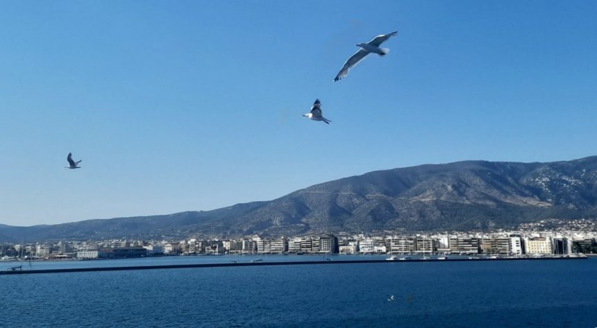 Την τρίτη μεγαλύτερη αύξηση πανελλαδικά (15% σε ένα έτος) κατέγραψαν οι τιμές πώλησης κατοικιών στη Μαγνησία