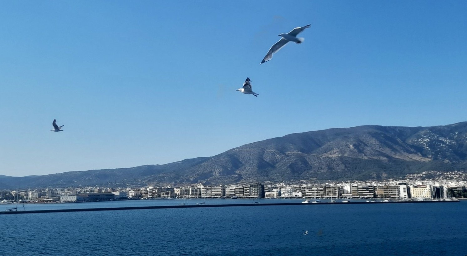 Την τρίτη μεγαλύτερη αύξηση πανελλαδικά (15% σε ένα έτος) κατέγραψαν οι τιμές πώλησης κατοικιών στη Μαγνησία