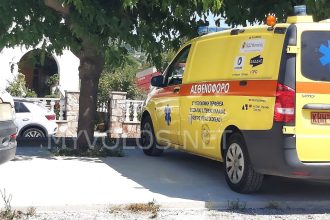 Φίδι δάγκωσε 8χρονο παιδί στην Σκόπελο: Μεταφέρθηκε εσπευσμένα στο νοσοκομείο Βόλου