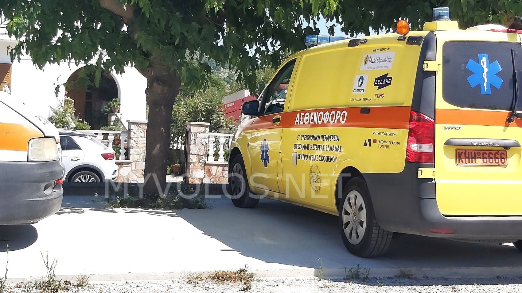 Φίδι δάγκωσε 8χρονο παιδί στην Σκόπελο: Μεταφέρθηκε εσπευσμένα στο νοσοκομείο Βόλου