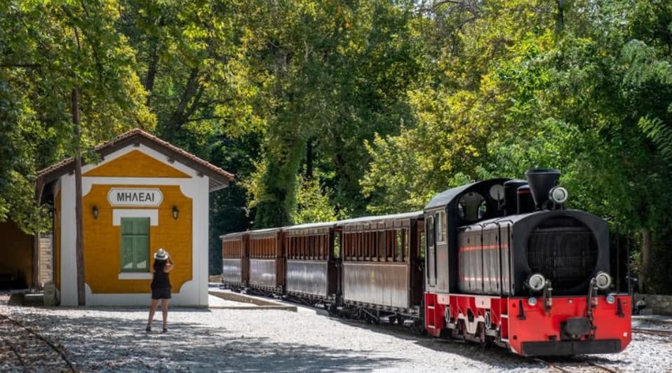 Επιπλόν δρομολόγια για το τρενάκι Πηλίου κάθε Παρασκευή του Ιουλίου