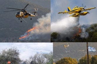 Οριοθετήθηκε η πυρκαγιά στις Νέες Παγασές Βόλου προς Σωρό και Παλιούρι – Καθοριστική και πάλι η άμεση δράση των εναέριων μέσων (pics & vid)