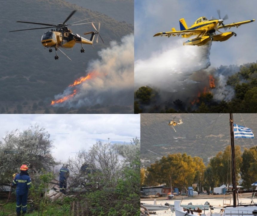 Οριοθετήθηκε η πυρκαγιά στις Νέες Παγασές Βόλου προς Σωρό και Παλιούρι – Καθοριστική και πάλι η άμεση δράση των εναέριων μέσων (pics & vid)