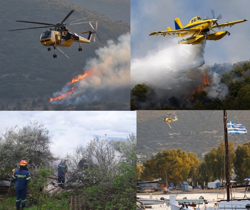 Οριοθετήθηκε η πυρκαγιά στις Νέες Παγασές Βόλου προς Σωρό και Παλιούρι – Καθοριστική και πάλι η άμεση δράση των εναέριων μέσων (εικόνες)