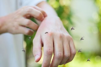Ερώτηση της «Συμμαχίας» για τα μέτρα αντιμετώπισης του «Ιού του Δυτικού Νείλου» στον Δήμο Βόλου