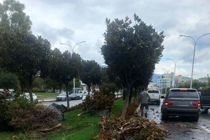 Νέος οδηγός με ογκώδες SUV καβάλησε τη νησίδα στην ευθεία της Λ. Λαμπράκη κοντά στο Δημαρχείο Βόλου, έσπασε 5-6 δέντρα και κατέστρεψε φυτά