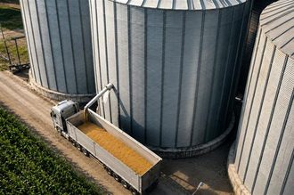 Διαγωνισμός από τον Αγροτικό Συνεταιρισμό Βόλου για την πώληση περίπου 6.000 τόνων σκληρού σίτου εσοδείας 2026