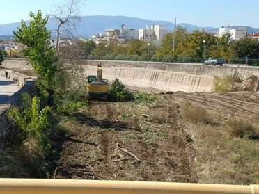 Η απομάκρυνση σπασμένου δέντρου από τον Άναυρο άνοιξε πάλι τη συζήτηση για φυτικό κεφάλαιο μέσα σε κοίτη χειμάρρων